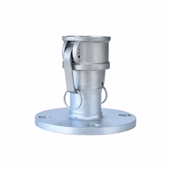 F Type Camlock Coupling with Flange Ending